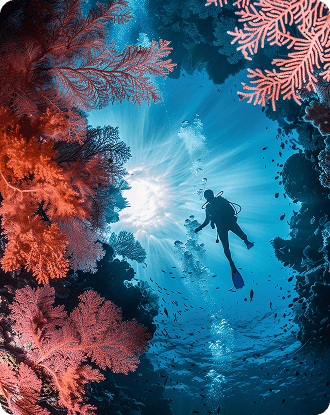 Coral reef
