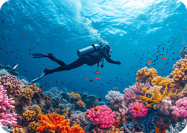 Scuba diving